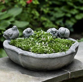 Photo of Campania Alouette Planter - Marquis Gardens